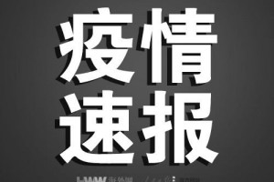 日本新冠肺炎确诊病例达3142例新增确诊13人新增逝世1例