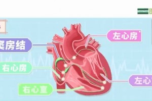 医师体检成果显现「窦性心律」我是病了吗