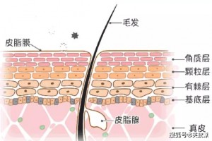 激素脸用什么修正屏障激素脸人群留意这些雷区肯定不能踩!